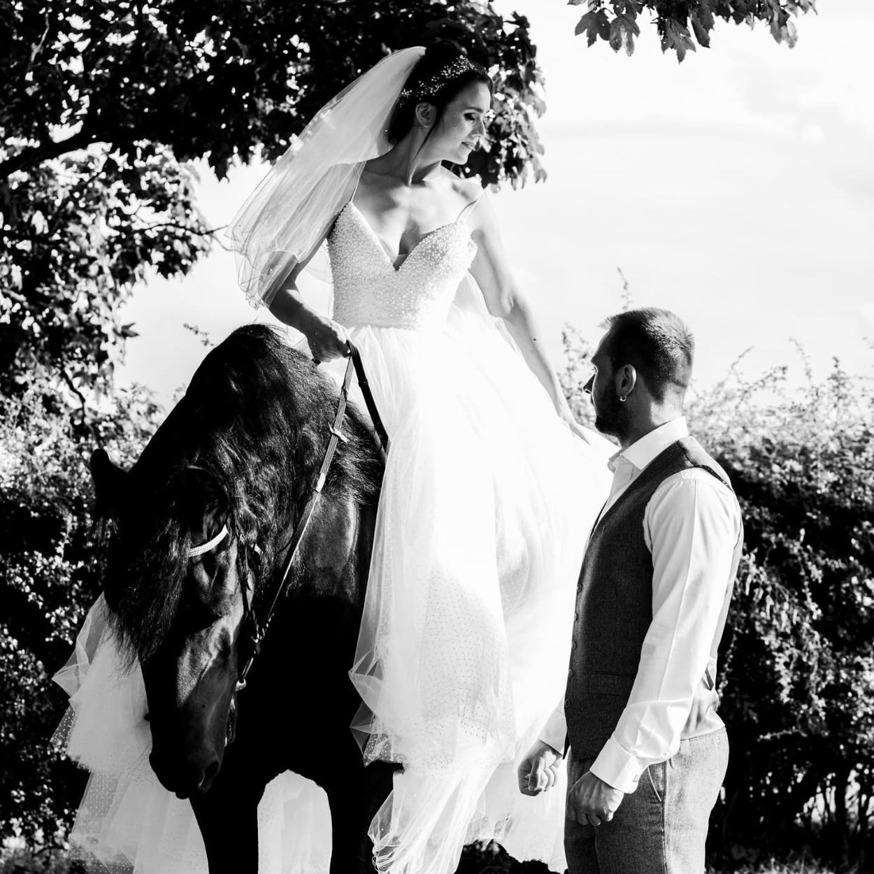 Horse at wedding northamptonshire